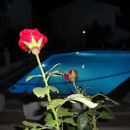 Rosalinda * Gumuldur